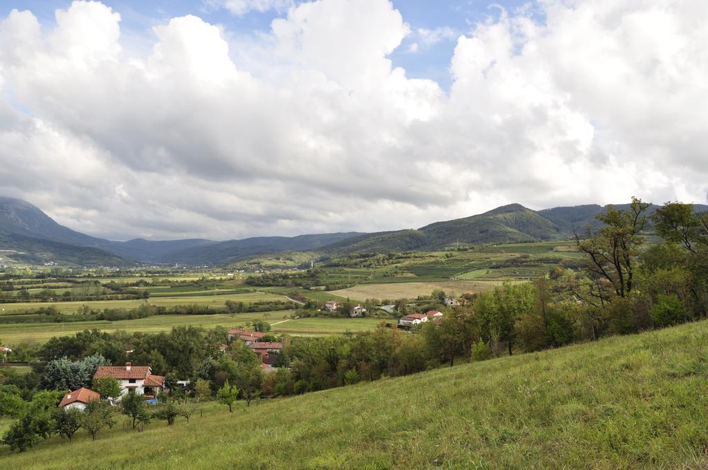 Holiday Home Slavi Vipava Exterior photo